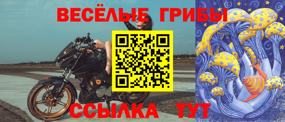 Псилоцибиновые грибы Psilocybine cubensis  Галлюциногенные грибы Psilocybine cubensis  Вход с VPN  Джанкой 