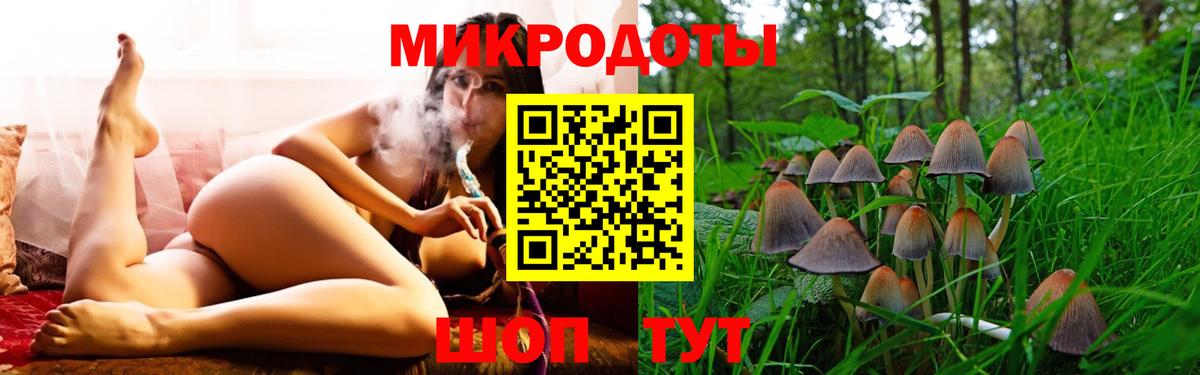 Галлюциногенные грибы Cubensis Джанкой