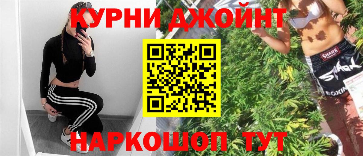 Бошки Шишки планчик Джанкой